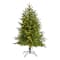 4ft. Pre-Lit Colorado Mountain Fir Artificial Christmas Tree, Clear LED Lights